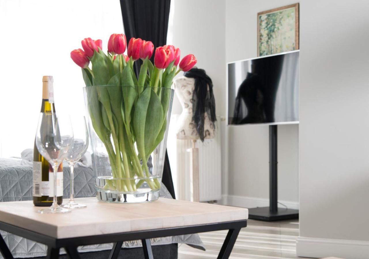 Laser Studio Apartment *